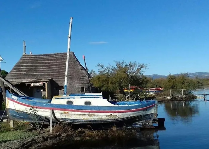 アパート Climatise Proche Et Commerces Avec Terrasse - Fr-1-529-311 *