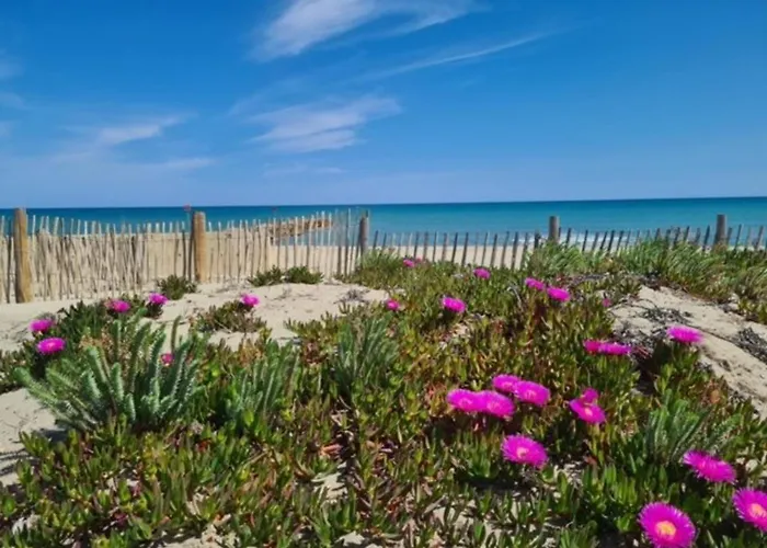 Climatise Proche Et Commerces Avec Terrasse - Fr-1-529-311 *