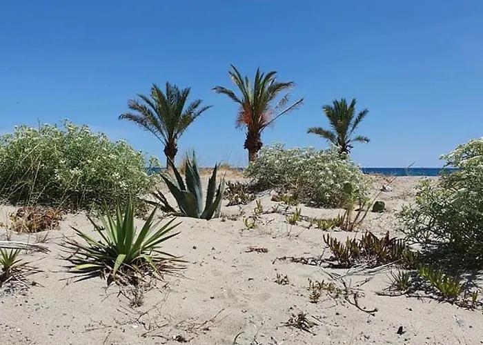 Climatise Proche Et Commerces Avec Terrasse - Fr-1-529-311 アパート *