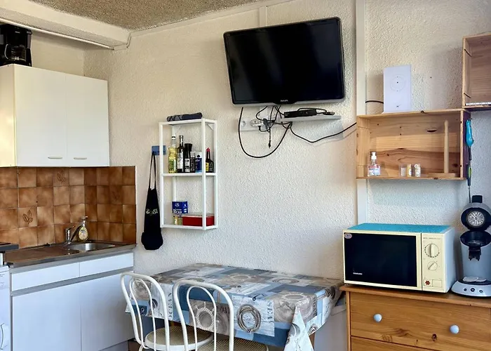 Climatise Proche Et Commerces Avec Terrasse - Fr-1-529-311 Le Barcares